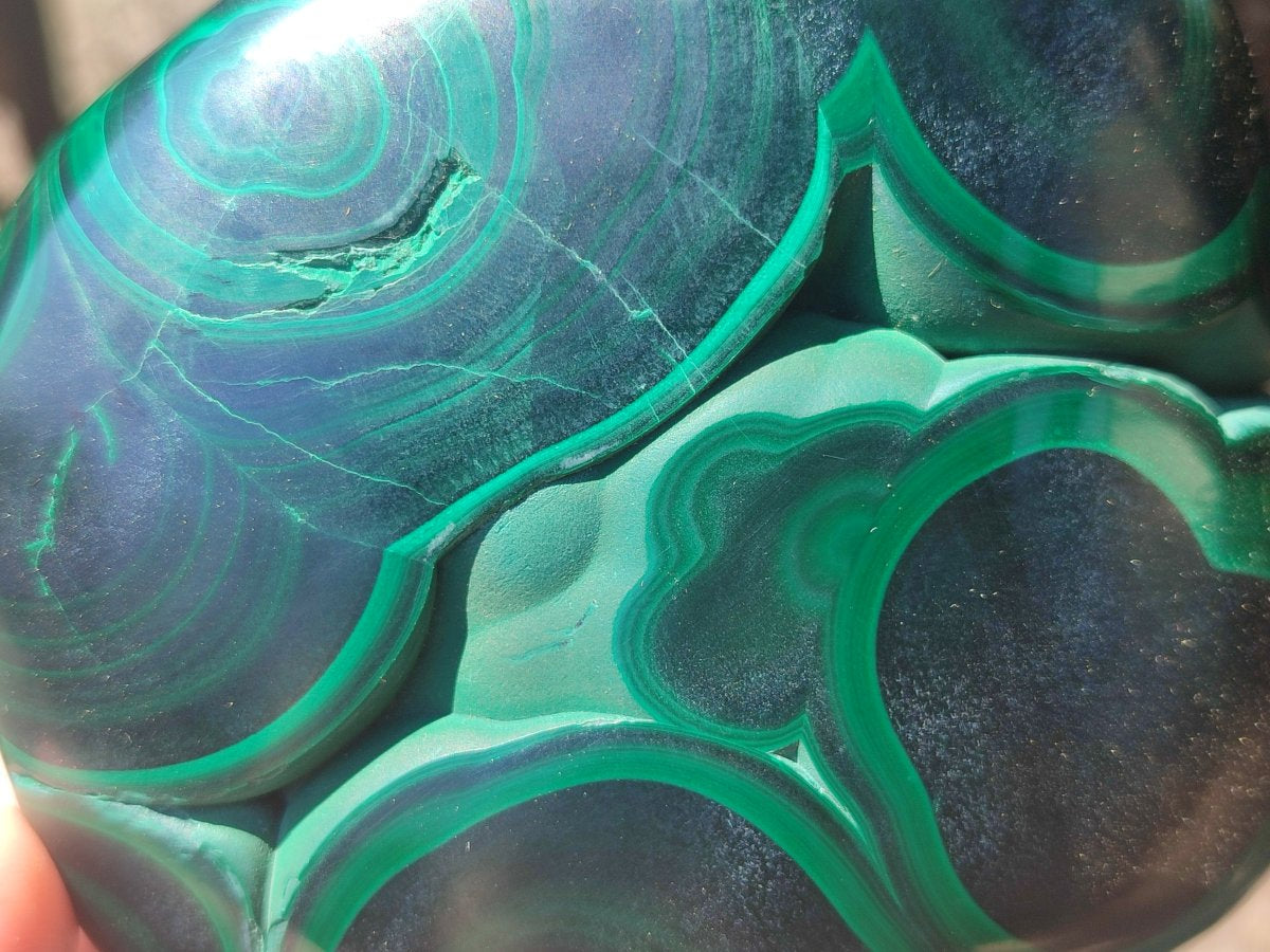 Polished Flower Banded Malachite Free Forms x 2 From Congo - Toprock Gemstones and Minerals 