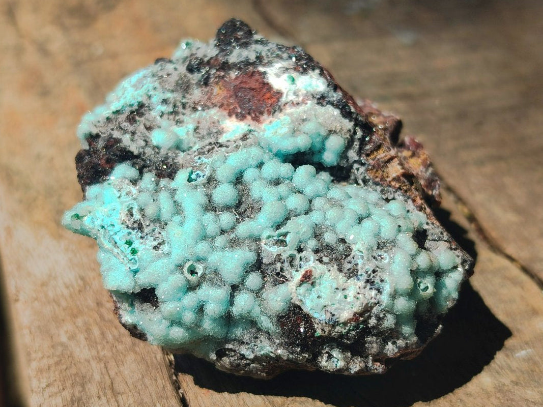 Natural Drusy Coated Chrysocolla with Malachite Specimens x 13 From Lupoto Mine, Congo - Toprock Gemstones and Minerals 