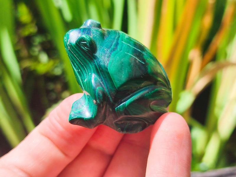 Polished Flower Banded Malachite Frog Carvings x 6 From Congo - Toprock Gemstones and Minerals 