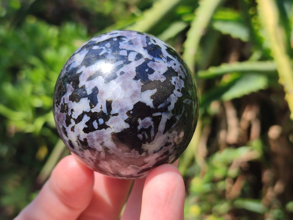Polished Gabbro 'Merlinite' Spheres x 5 From Ambatofinandrahana, Madagascar - Toprock Gemstones and Minerals 
