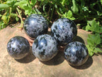Polished Gabbro 'Merlinite' Spheres x 5 From Ambatofinandrahana, Madagascar - Toprock Gemstones and Minerals 