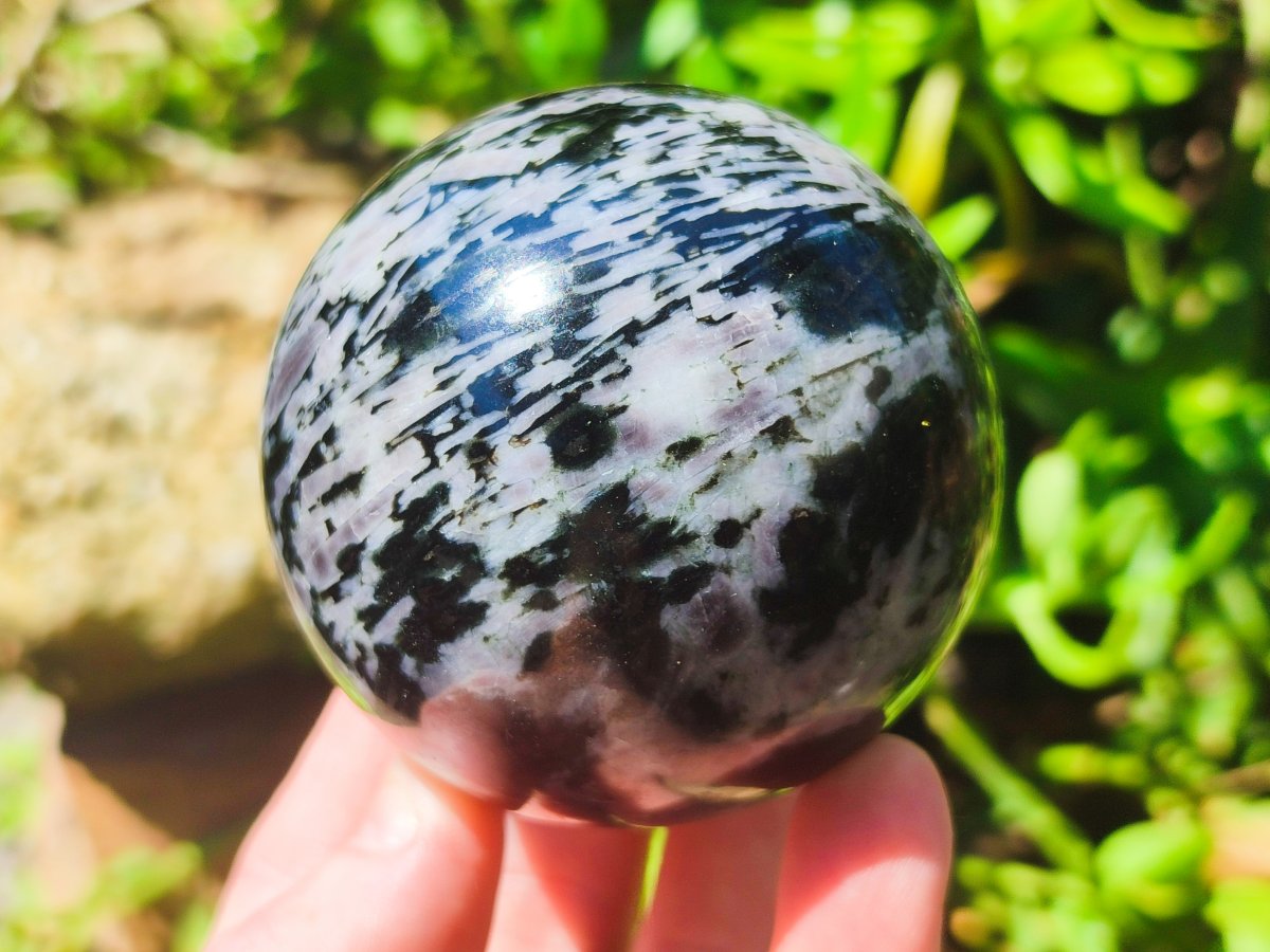 Polished Gabbro 'Merlinite' Spheres x 5 From Ambatofinandrahana, Madagascar - Toprock Gemstones and Minerals 