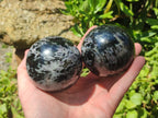 Polished Gabbro 'Merlinite' Spheres x 5 From Ambatofinandrahana, Madagascar - Toprock Gemstones and Minerals 