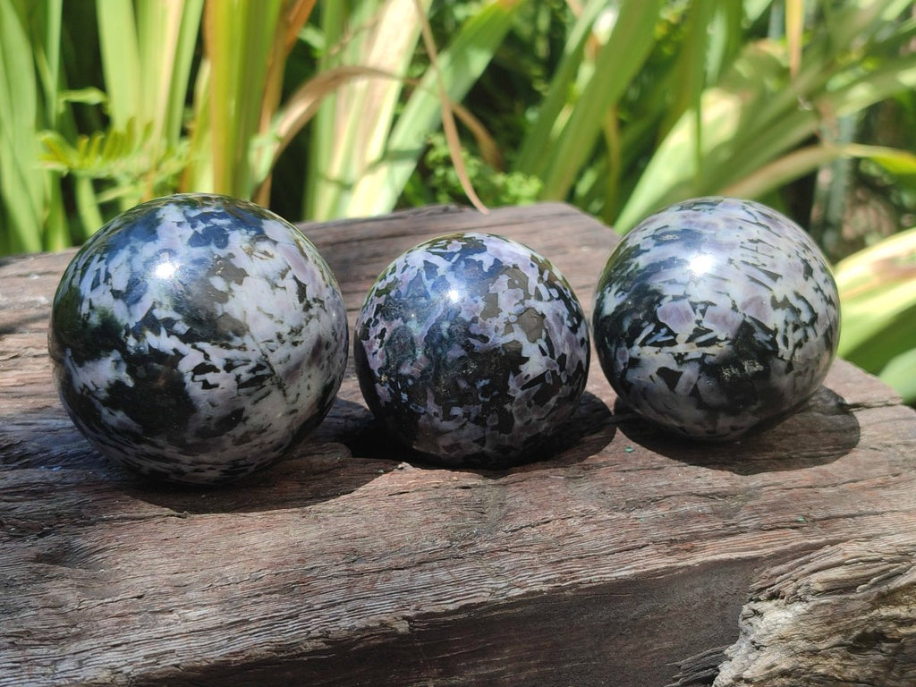 Polished Gabbro 'Merlinite' Spheres x 5 From Ambatofinandrahana, Madagascar - Toprock Gemstones and Minerals 