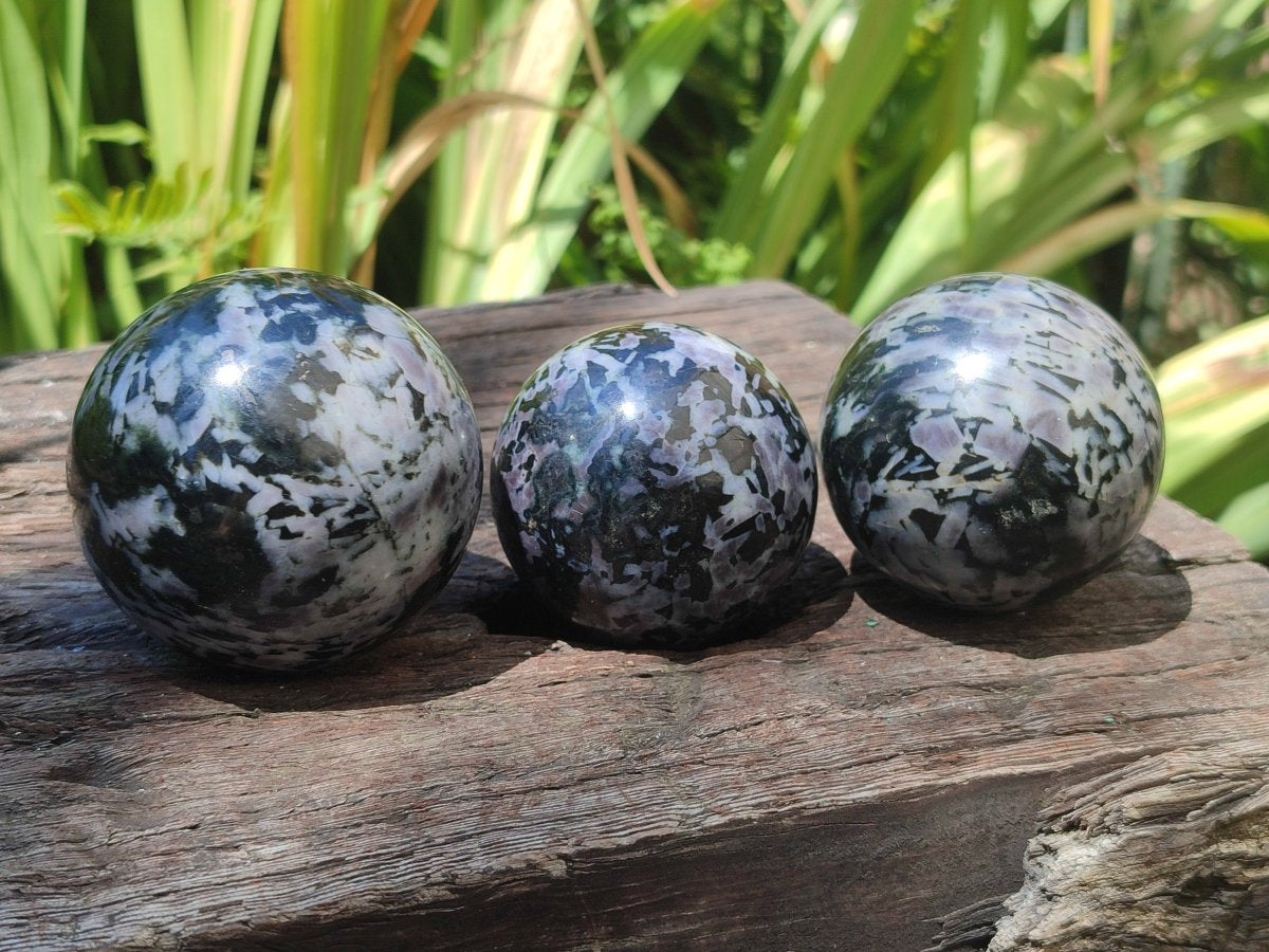Polished Gabbro 'Merlinite' Spheres x 5 From Ambatofinandrahana, Madagascar - Toprock Gemstones and Minerals 