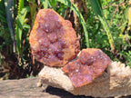 Natural Dark Purple Amethyst Spirit Quartz Crystal Plates x 7 From Boekenhouthoek, South Africa - Toprock Gemstones and Minerals 