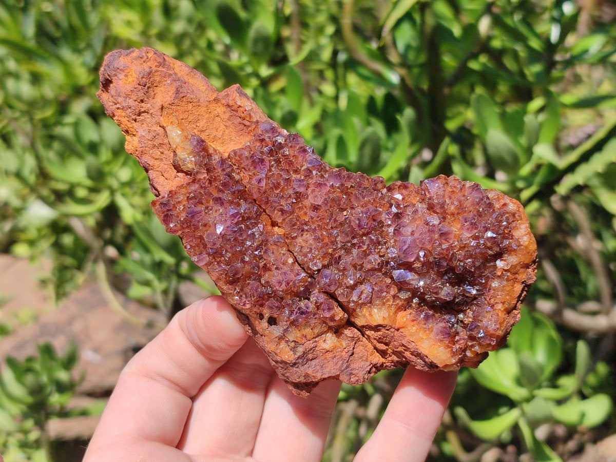 Natural Dark Purple Amethyst Spirit Quartz Crystal Plates x 7 From Boekenhouthoek, South Africa - Toprock Gemstones and Minerals 