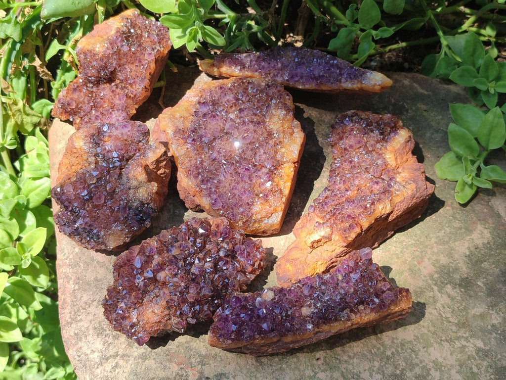 Natural Dark Purple Amethyst Spirit Quartz Crystal Plates x 7 From Boekenhouthoek, South Africa - Toprock Gemstones and Minerals 