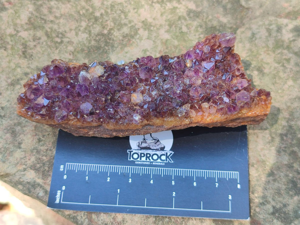 Natural Dark Purple Amethyst Spirit Quartz Crystal Plates x 7 From Boekenhouthoek, South Africa - Toprock Gemstones and Minerals 