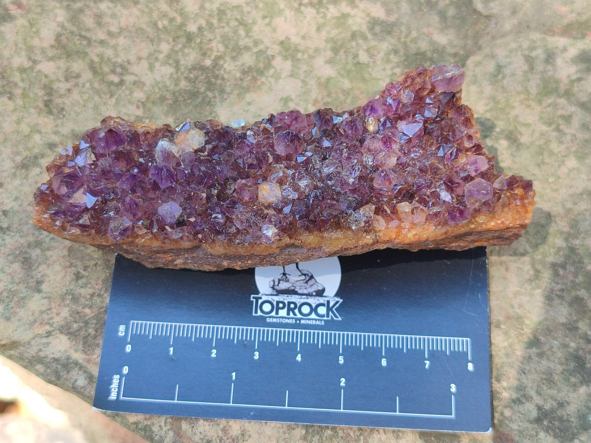 Natural Dark Purple Amethyst Spirit Quartz Crystal Plates x 7 From Boekenhouthoek, South Africa - Toprock Gemstones and Minerals 
