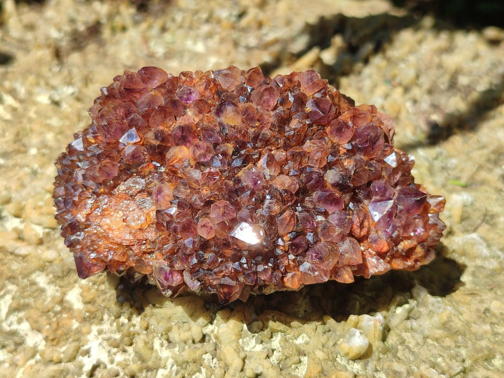 Natural Dark Purple Amethyst Spirit Quartz Crystal Plates x 7 From Boekenhouthoek, South Africa - Toprock Gemstones and Minerals 