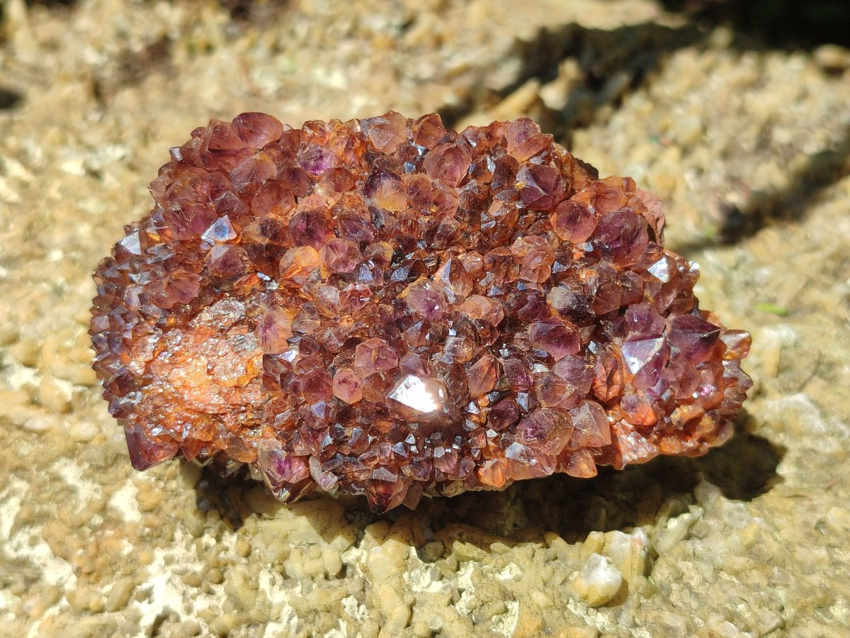 Natural Dark Purple Amethyst Spirit Quartz Crystal Plates x 7 From Boekenhouthoek, South Africa - Toprock Gemstones and Minerals 