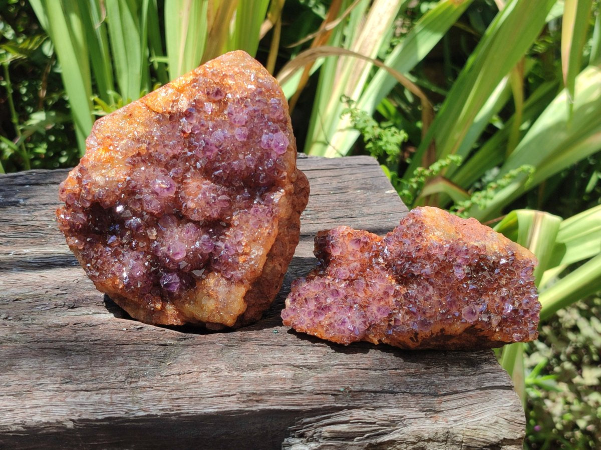 Natural Dark Purple Amethyst Spirit Quartz Crystal Plates x 7 From Boekenhouthoek, South Africa - Toprock Gemstones and Minerals 