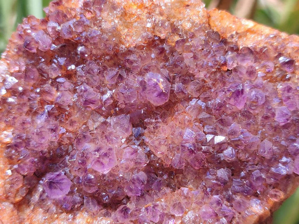 Natural Dark Purple Amethyst Spirit Quartz Crystal Plates x 7 From Boekenhouthoek, South Africa - Toprock Gemstones and Minerals 