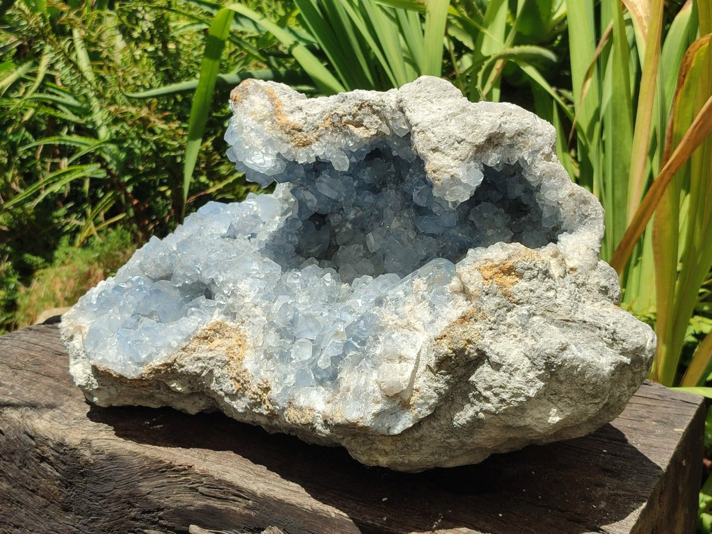 Natural XL Blue Celestite Geode Specimen x 1 From Sakoany, Madagascar - Toprock Gemstones and Minerals 