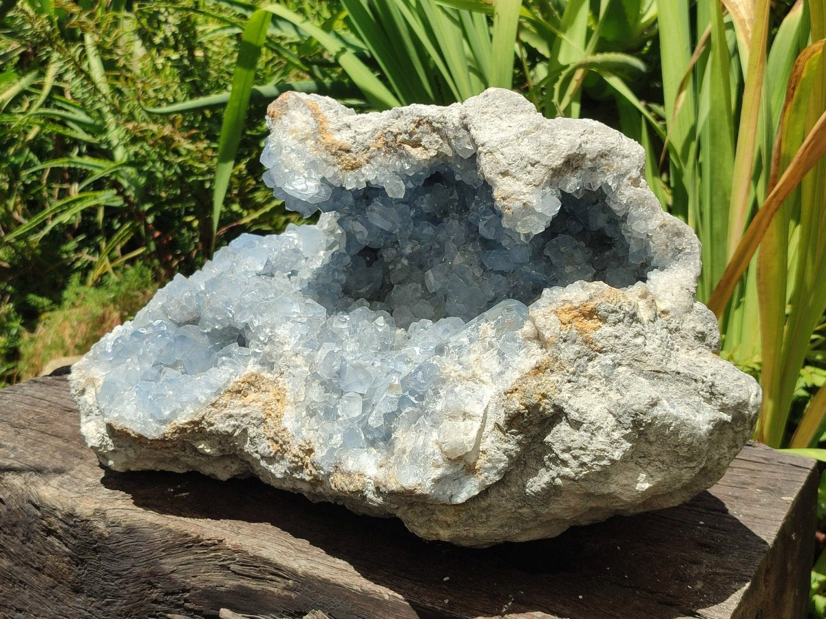 Natural XL Blue Celestite Geode Specimen x 1 From Sakoany, Madagascar - Toprock Gemstones and Minerals 