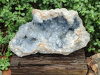 Natural XL Blue Celestite Geode Specimen x 1 From Sakoany, Madagascar - Toprock Gemstones and Minerals 
