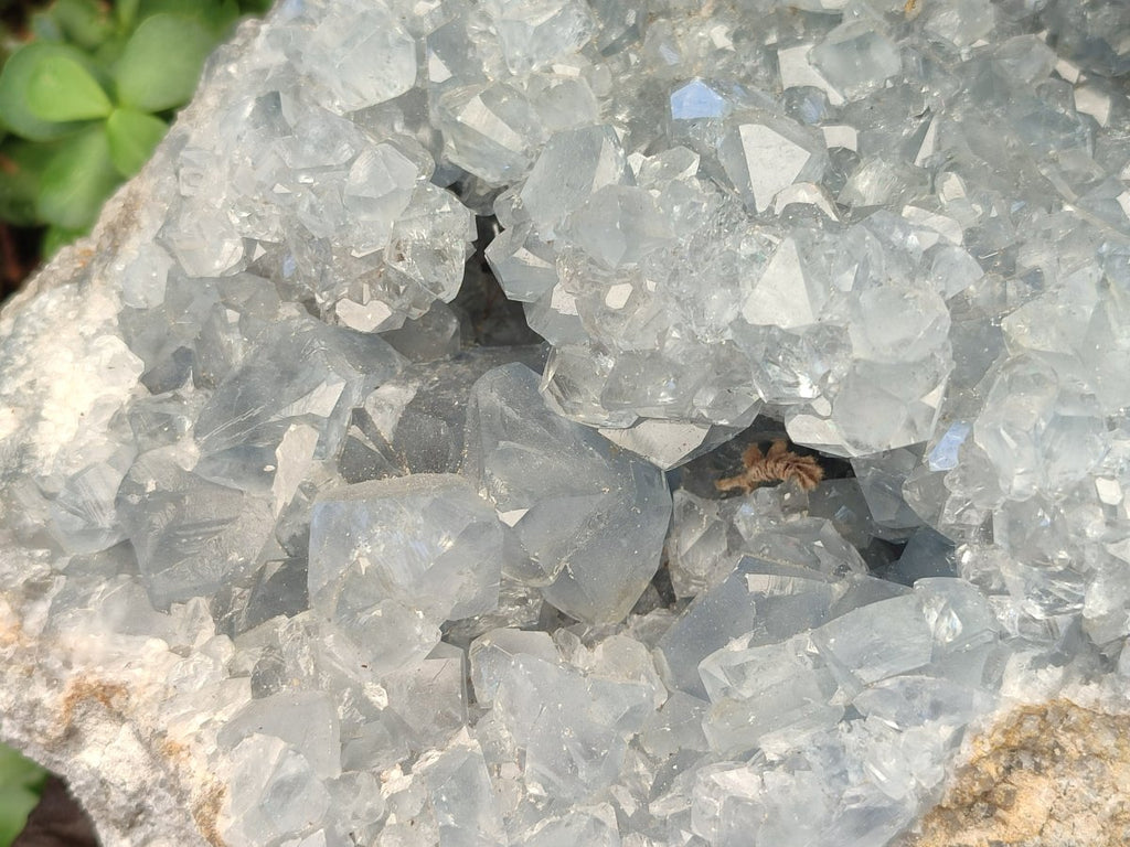 Natural XL Blue Celestite Geode Specimen x 1 From Sakoany, Madagascar - Toprock Gemstones and Minerals 