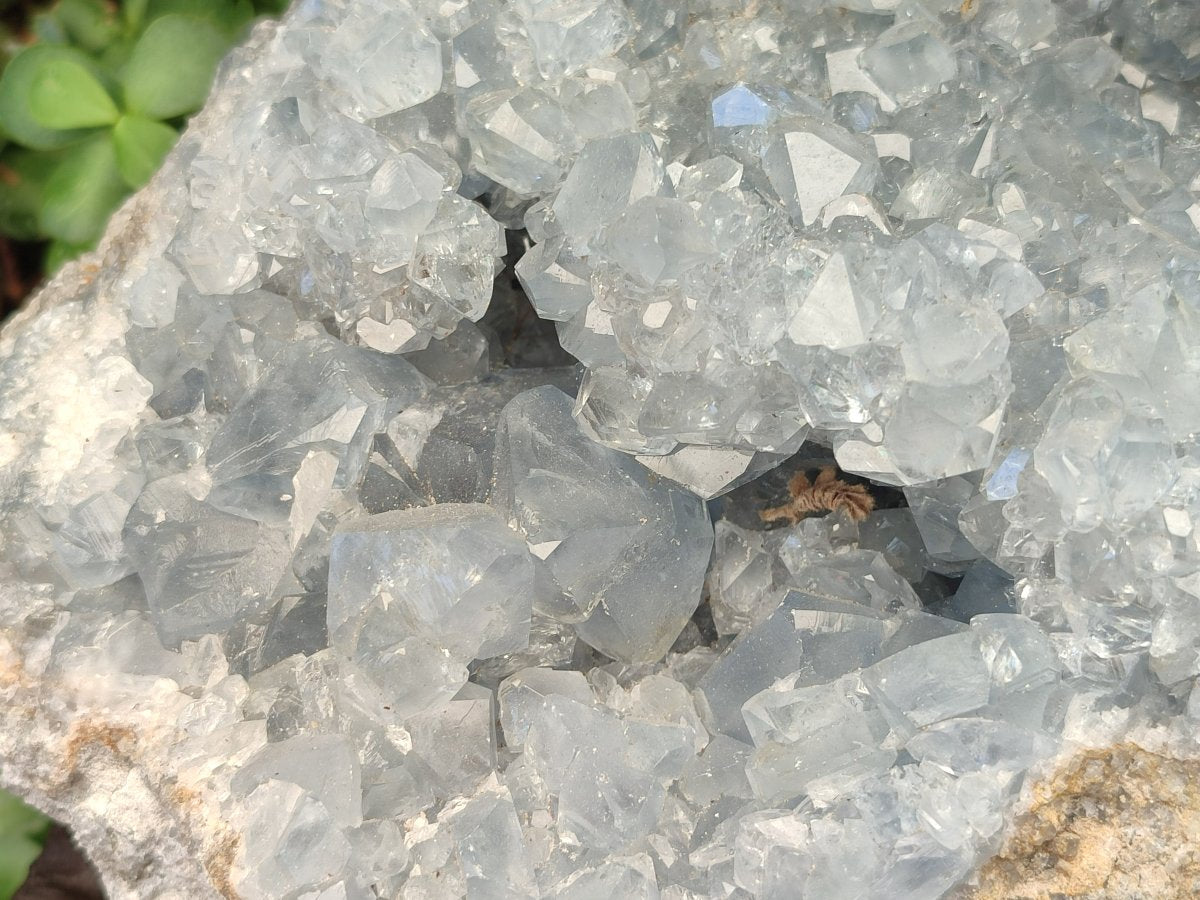 Natural XL Blue Celestite Geode Specimen x 1 From Sakoany, Madagascar - Toprock Gemstones and Minerals 