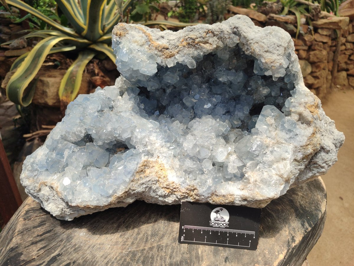 Natural XL Blue Celestite Geode Specimen x 1 From Sakoany, Madagascar - Toprock Gemstones and Minerals 