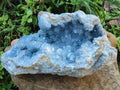 Natural XL Blue Celestite Geode Specimen x 1 From Sakoany, Madagascar - Toprock Gemstones and Minerals 
