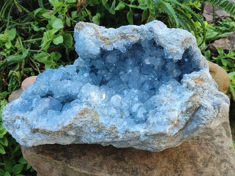 Natural XL Blue Celestite Geode Specimen x 1 From Sakoany, Madagascar - Toprock Gemstones and Minerals 
