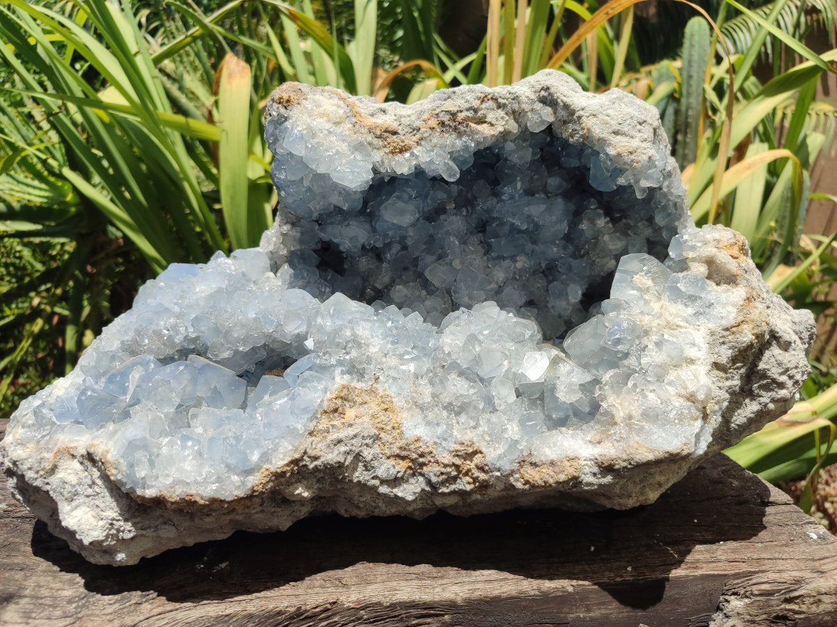 Natural XL Blue Celestite Geode Specimen x 1 From Sakoany, Madagascar - Toprock Gemstones and Minerals 