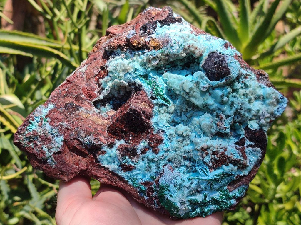 Natural Drusy Chrysocolla with Malachite Pseudomorph Bladed Specimen x From Lupoto Mine, Congo - Toprock Gemstones and Minerals 