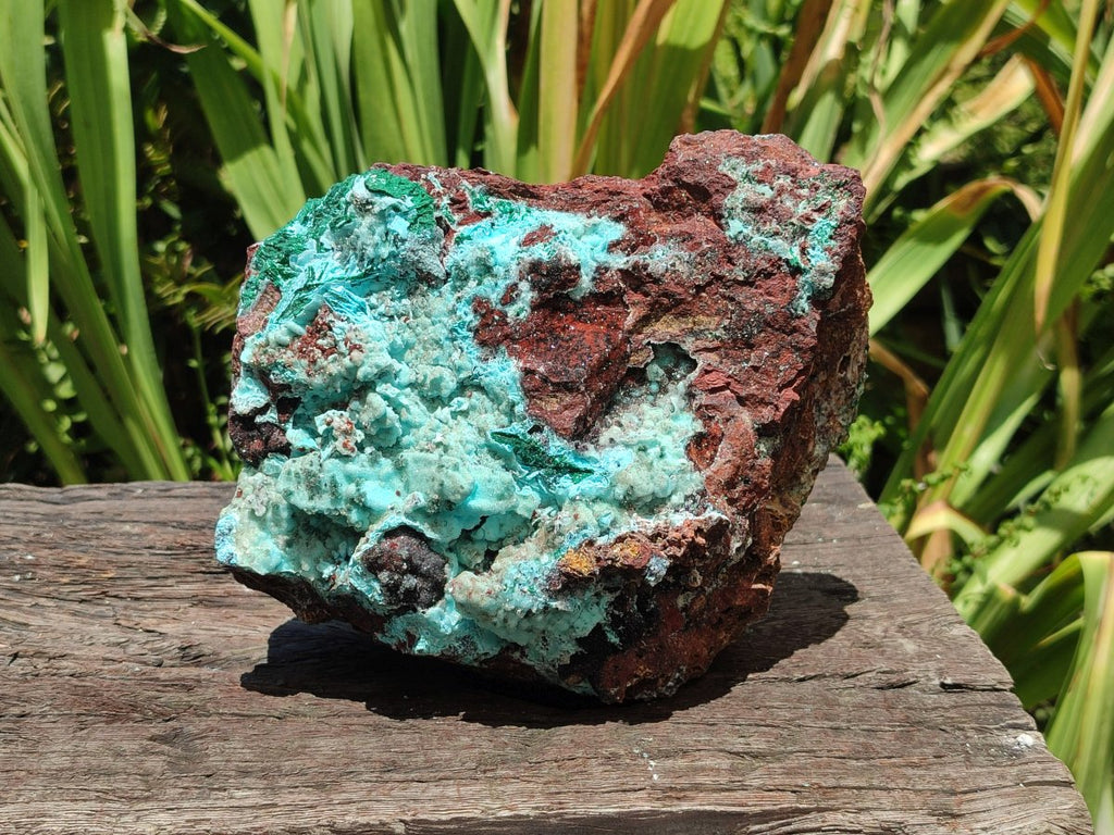 Natural Drusy Chrysocolla with Malachite Pseudomorph Bladed Specimen x From Lupoto Mine, Congo - Toprock Gemstones and Minerals 