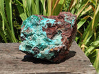 Natural Drusy Chrysocolla with Malachite Pseudomorph Bladed Specimen x From Lupoto Mine, Congo - Toprock Gemstones and Minerals 