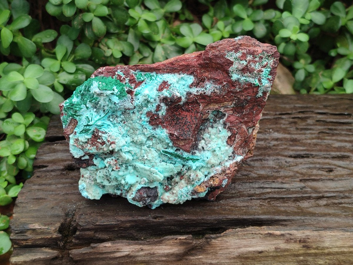 Natural Drusy Chrysocolla with Malachite Pseudomorph Bladed Specimen x From Lupoto Mine, Congo - Toprock Gemstones and Minerals 