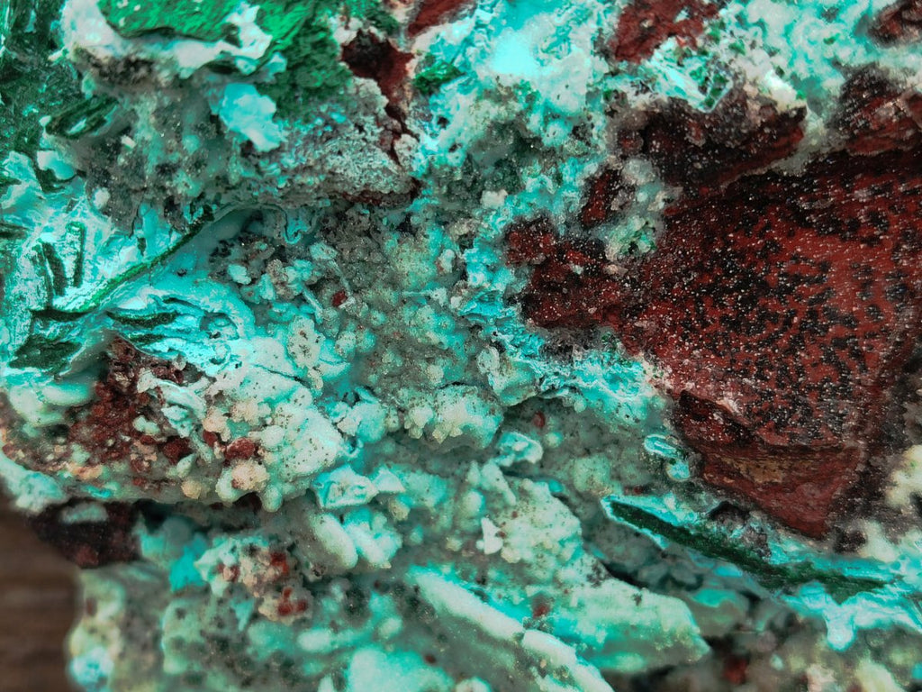 Natural Drusy Chrysocolla with Malachite Pseudomorph Bladed Specimen x From Lupoto Mine, Congo - Toprock Gemstones and Minerals 