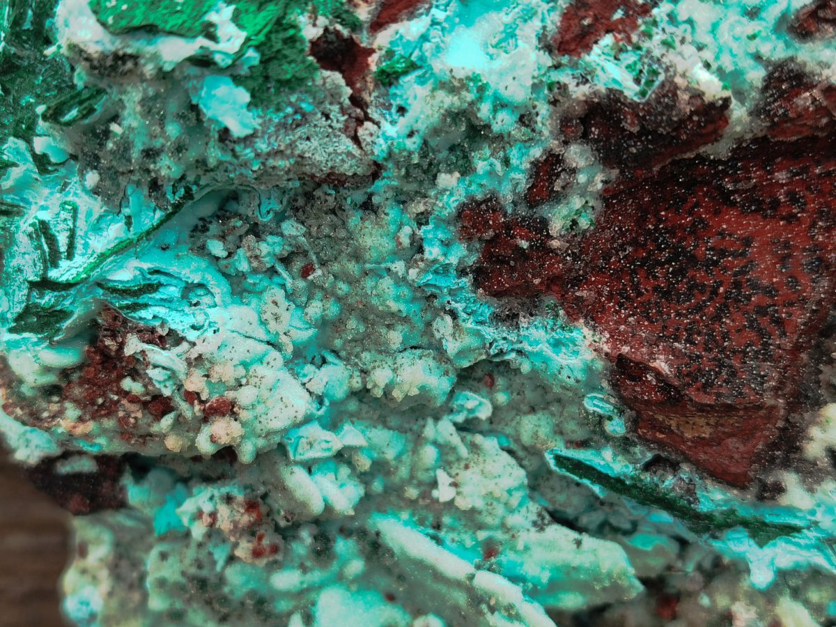 Natural Drusy Chrysocolla with Malachite Pseudomorph Bladed Specimen x From Lupoto Mine, Congo - Toprock Gemstones and Minerals 