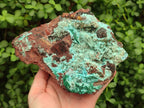 Natural Drusy Chrysocolla with Malachite Pseudomorph Bladed Specimen x From Lupoto Mine, Congo - Toprock Gemstones and Minerals 