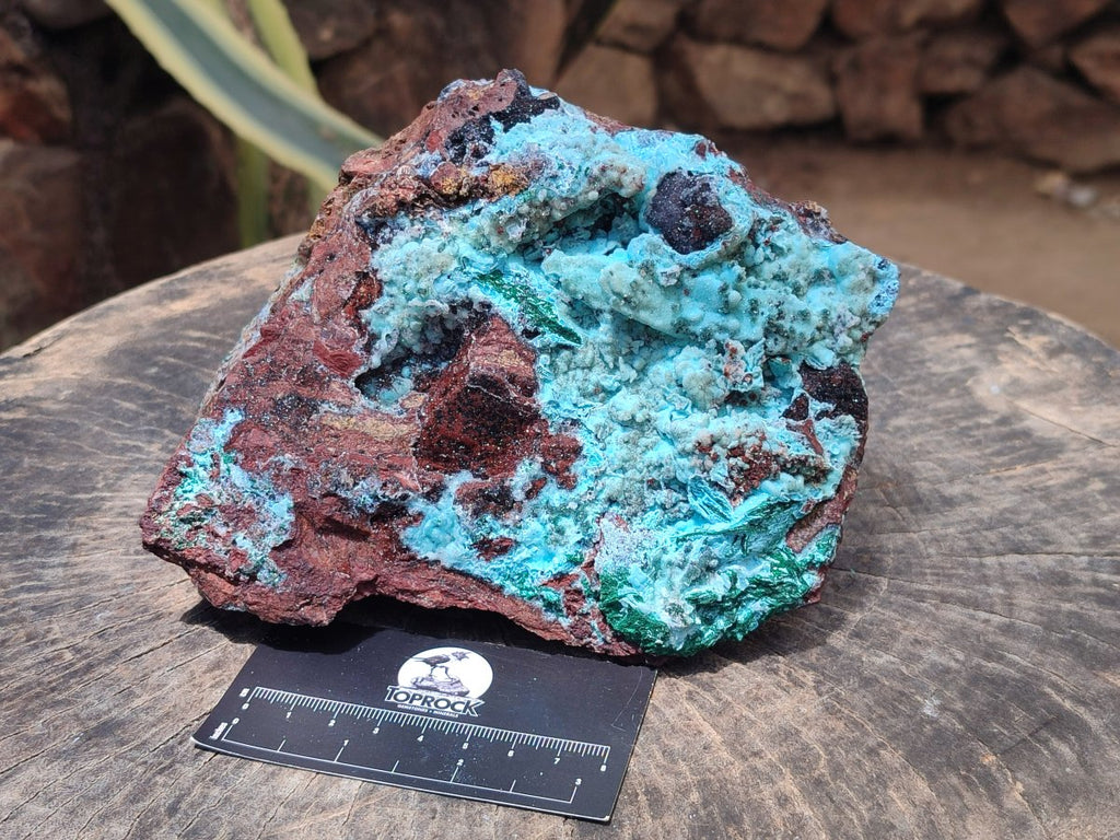 Natural Drusy Chrysocolla with Malachite Pseudomorph Bladed Specimen x From Lupoto Mine, Congo - Toprock Gemstones and Minerals 