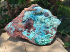 Natural Drusy Chrysocolla with Malachite Pseudomorph Bladed Specimen x From Lupoto Mine, Congo - Toprock Gemstones and Minerals 