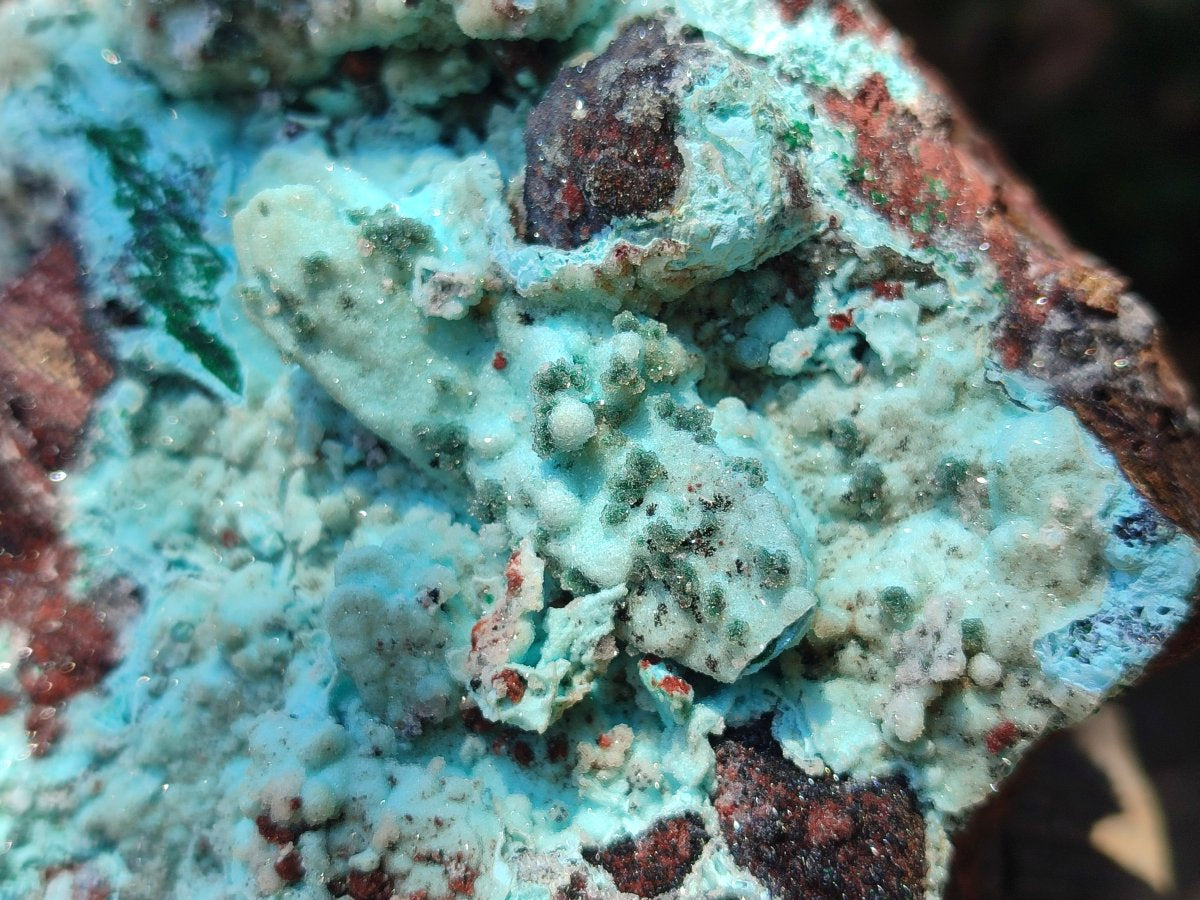 Natural Drusy Chrysocolla with Malachite Pseudomorph Bladed Specimen x From Lupoto Mine, Congo - Toprock Gemstones and Minerals 