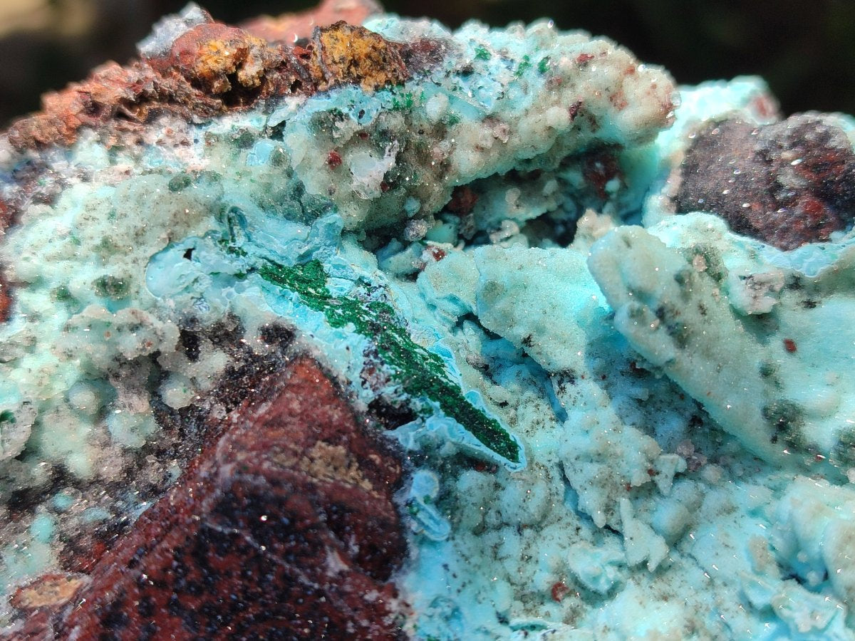 Natural Drusy Chrysocolla with Malachite Pseudomorph Bladed Specimen x From Lupoto Mine, Congo - Toprock Gemstones and Minerals 