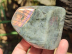 Polished Rare Purple Sunset Flash Labradorite Standing Free Forms x 3 From Madagascar - Toprock Gemstones and Minerals 