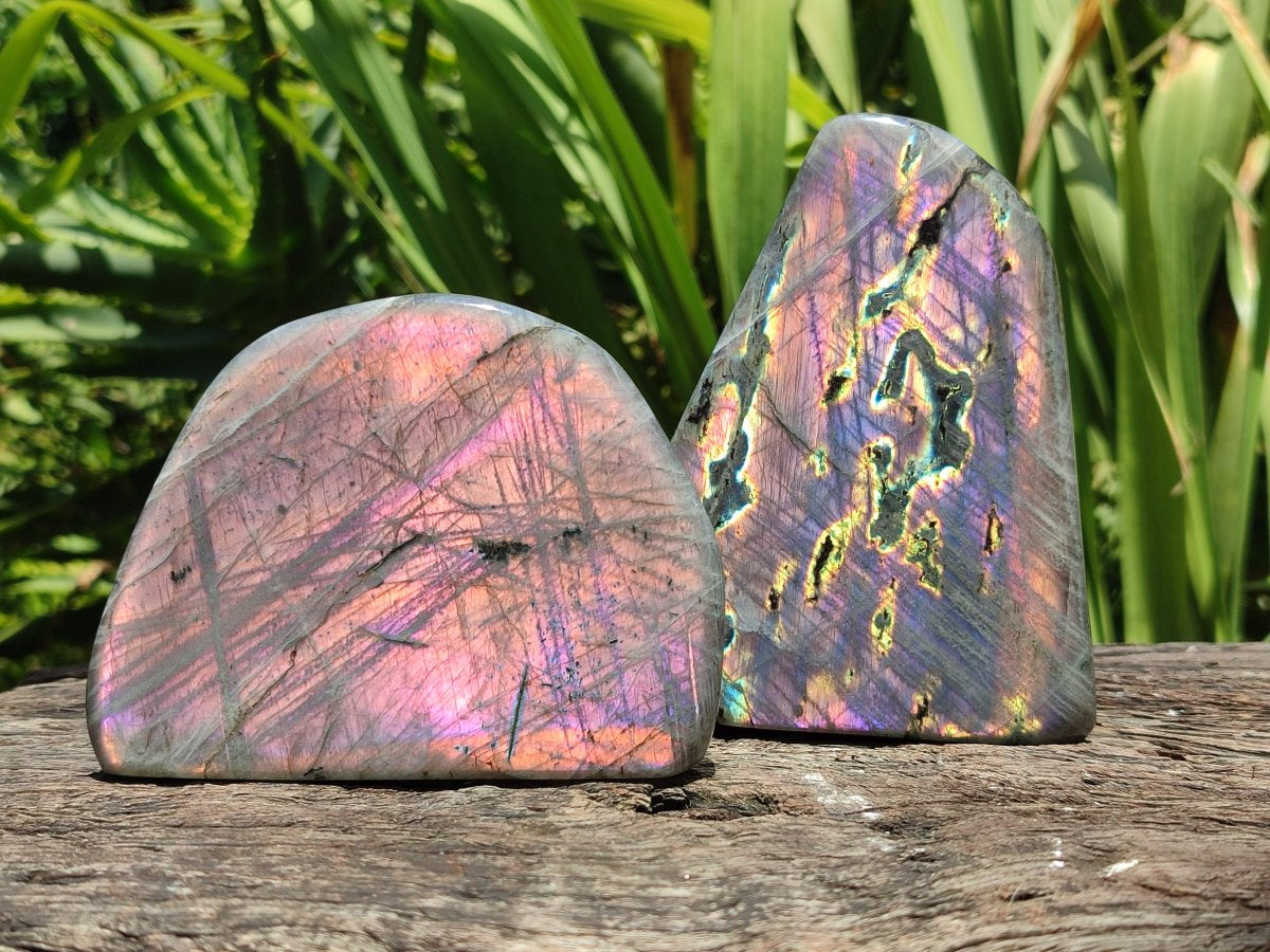 Polished Rare Purple Sunset Flash Labradorite Standing Free Forms x 3 From Madagascar - Toprock Gemstones and Minerals 