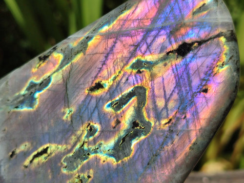 Polished Rare Purple Sunset Flash Labradorite Standing Free Forms x 3 From Madagascar - Toprock Gemstones and Minerals 