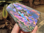 Polished Rare Purple Sunset Flash Labradorite Standing Free Forms x 3 From Madagascar - Toprock Gemstones and Minerals 