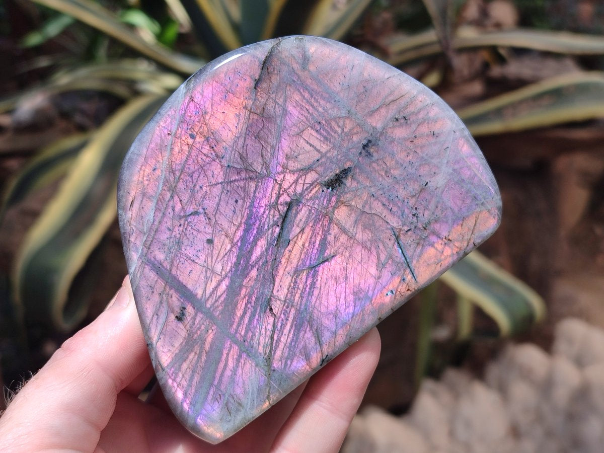 Polished Rare Purple Sunset Flash Labradorite Standing Free Forms x 3 From Madagascar - Toprock Gemstones and Minerals 