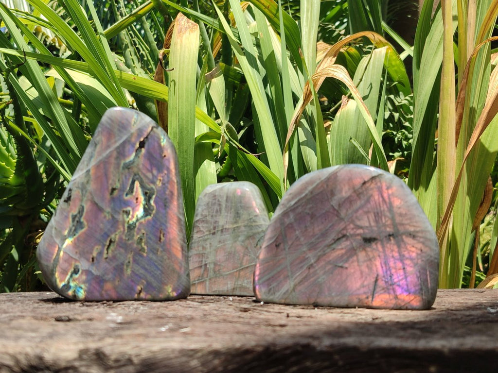 Polished Rare Purple Sunset Flash Labradorite Standing Free Forms x 3 From Madagascar - Toprock Gemstones and Minerals 