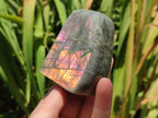 Polished Rare Purple Sunset Flash Labradorite Standing Free Forms x 3 From Madagascar - Toprock Gemstones and Minerals 