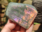 Polished Rare Purple Sunset Flash Labradorite Standing Free Forms x 3 From Madagascar - Toprock Gemstones and Minerals 
