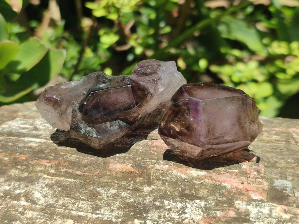 Natural Skeletal, Sceptre and Window Amethyst Crystals x 24 From Chiredzi, Zimbabwe - Toprock Gemstones and Minerals 