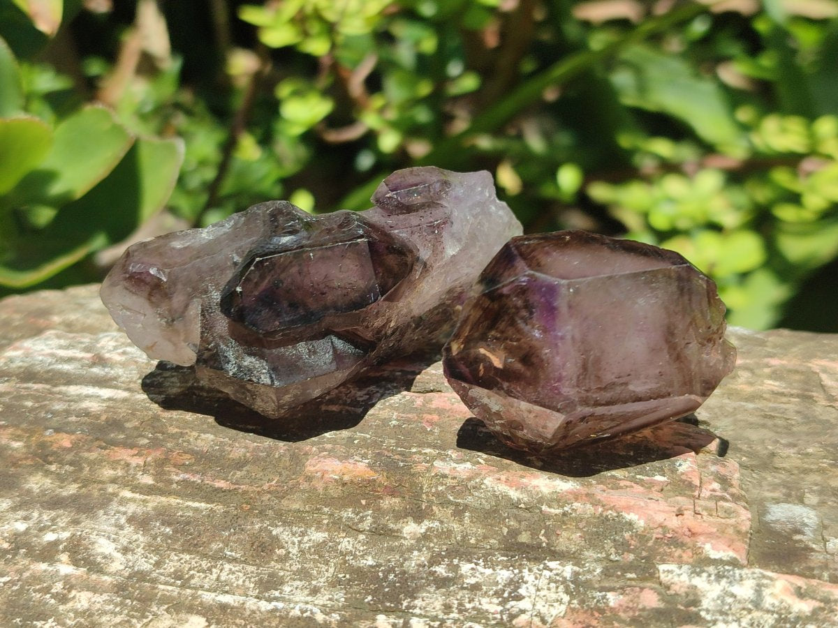 Natural Skeletal, Sceptre and Window Amethyst Crystals x 24 From Chiredzi, Zimbabwe - Toprock Gemstones and Minerals 