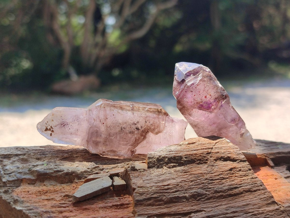 Natural Skeletal, Sceptre and Window Amethyst Crystals x 24 From Chiredzi, Zimbabwe - Toprock Gemstones and Minerals 