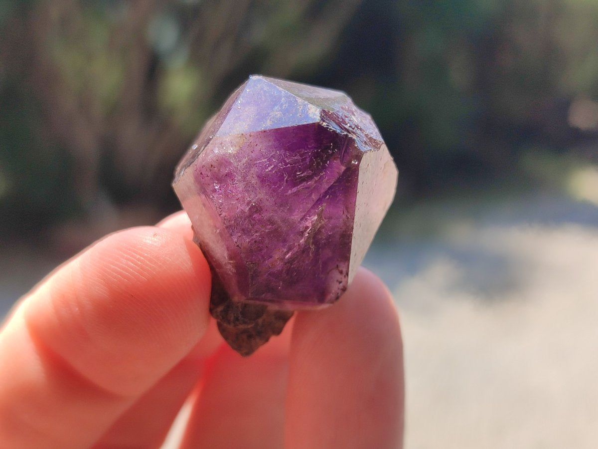 Natural Skeletal, Sceptre and Window Amethyst Crystals x 24 From Chiredzi, Zimbabwe - Toprock Gemstones and Minerals 